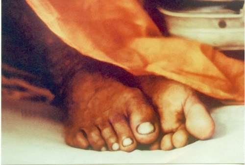 Shrila Prabhupada's lotus feet