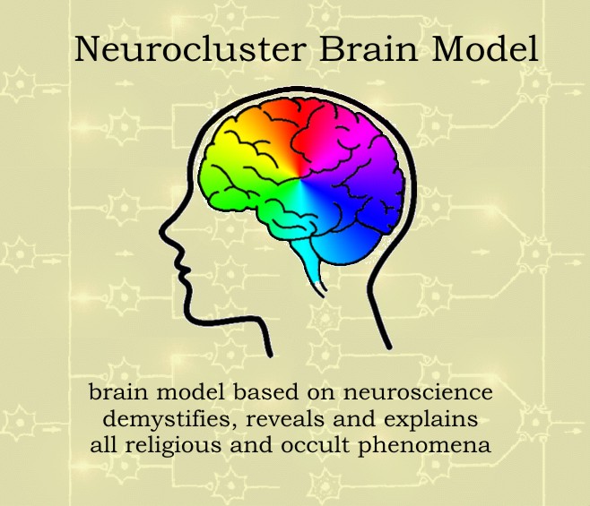 Neurocluster Brain Model