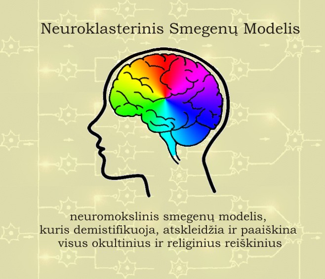 Neuroklasterinis Smegenų Modelis